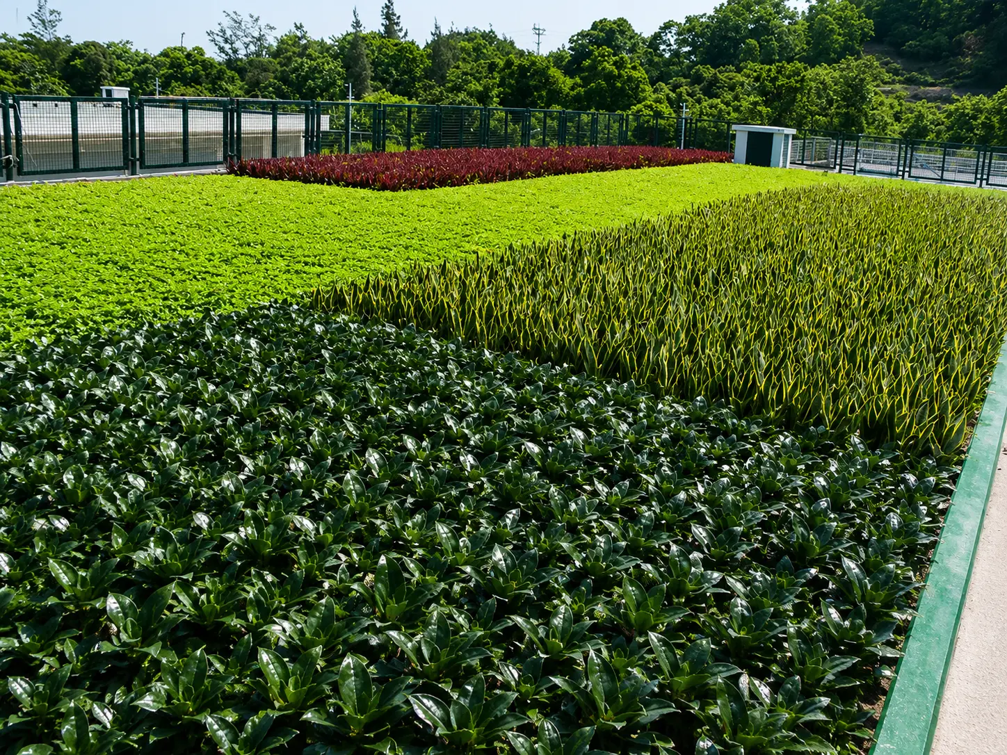 Green Roof Media