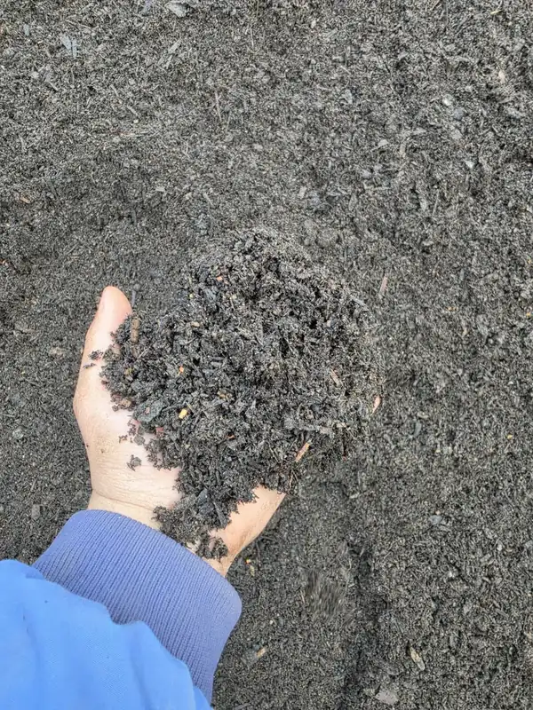 Raised Bed Soil vs. Garden Soil: What’s the Difference?
