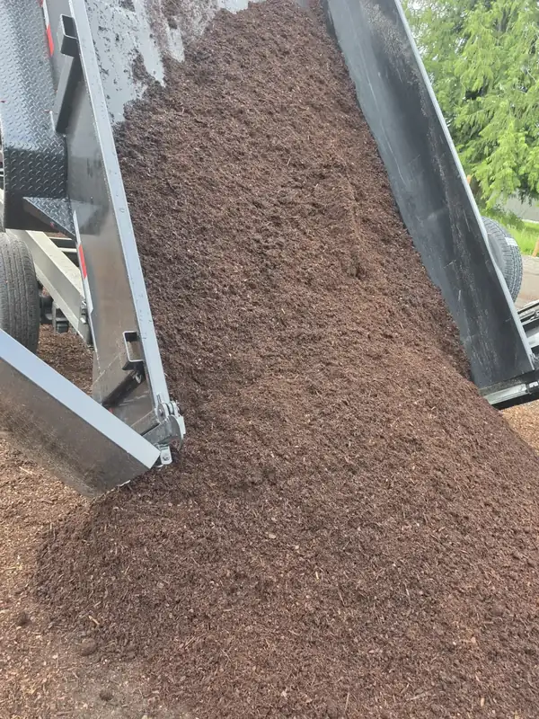 How Deep Should Bark or Mulch Be?